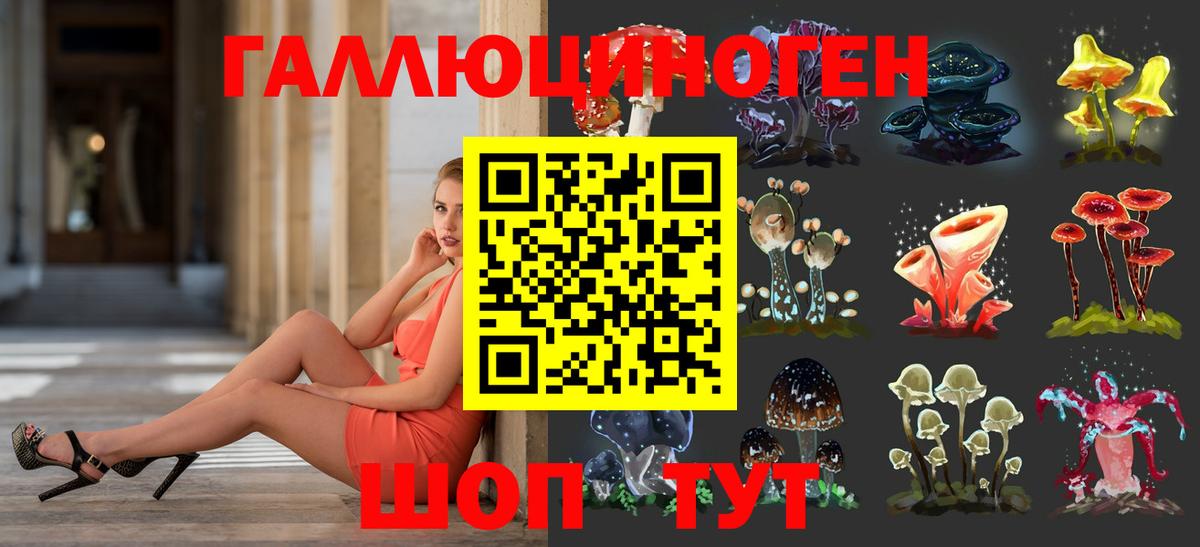 Псилоцибиновые грибы MAGIC MUSHROOMS  Вход с VPN  Галлюциногенные грибы Magic Shrooms  Новороссийск 