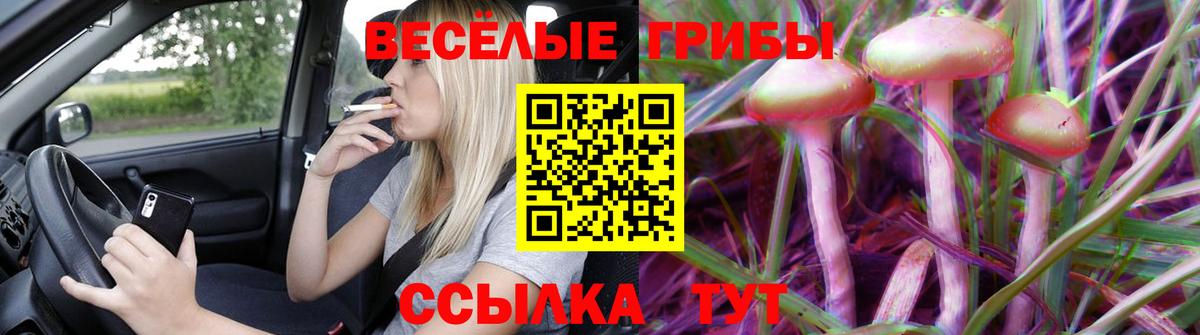 Псилоцибиновые грибы MAGIC MUSHROOMS Новороссийск
